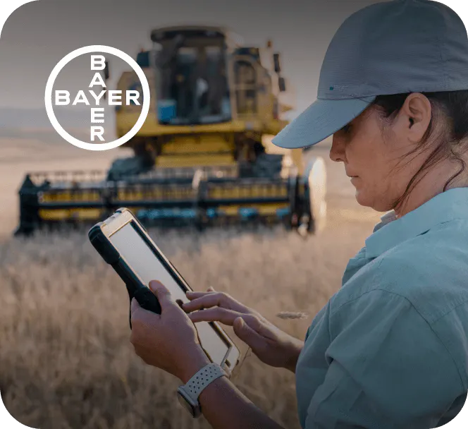 Bayer
